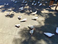-白鹿原·白鹿仓