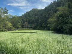 -常德桃花源景区