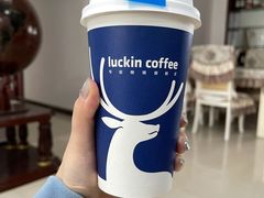 -瑞幸咖啡(绿地新都会9号楼店)