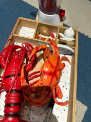 -奈尔宝家庭中心·亲子餐厅(长沙运达汇店)