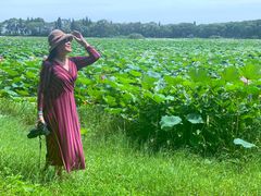 -洪湖生态旅游区