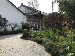-南汇桃花村