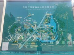 -南宁良凤江国家森林公园