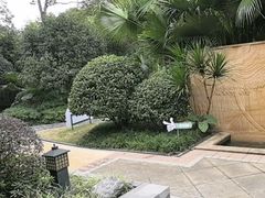 -海兰云天度假区温泉