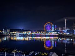 -新興传承烤鸭