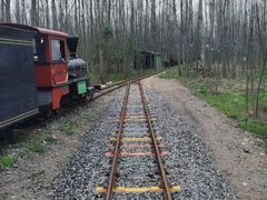 -合肥滨湖国家森林公园