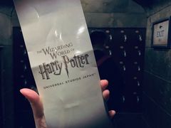 -哈利波特魔法世界