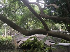 -人民公园(罗湖区)