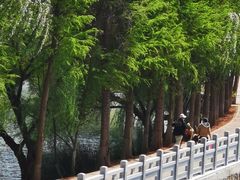 -庾园