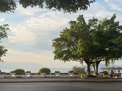 -野菌皇海景野生菌火锅(滨海大道店)