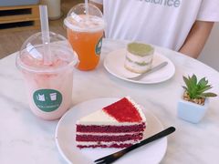 -有猫主题·治愈系猫咖(曾厝垵店)