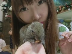 -藦茜花园宠物主题亲子互动体验馆(国顺东路店)
