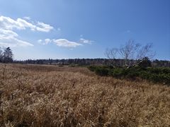 -凤凰山国家森林公园