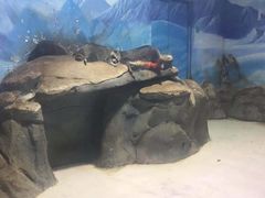 -华夏文旅海洋公园