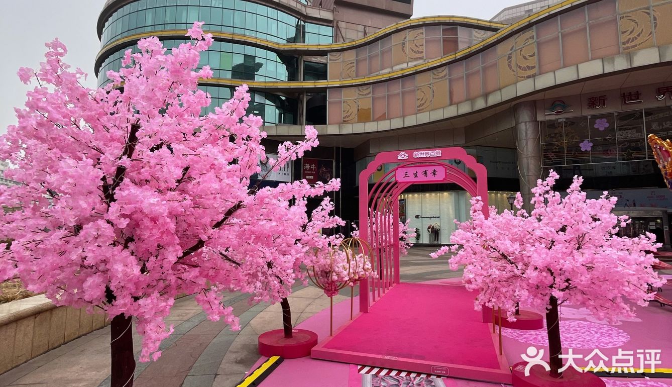 满树樱花朵朵开，花花世界的，出来逛街啊