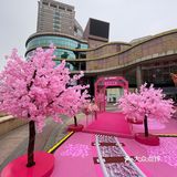 满树樱花朵朵开，花花世界的，出来逛街啊