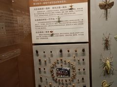 -天津自然博物馆