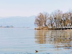 -西昌邛海湿地