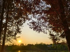 -白鹭湾湿地公园