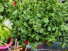 -正宗阳山牛杂(东城店)