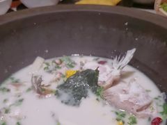 -鲜潭蒸汽石锅鱼(五道口购物中心店)