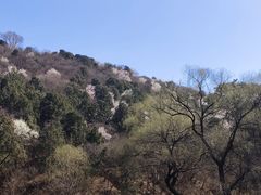-香山公园