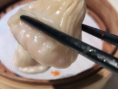 -点都德·毕德寮
