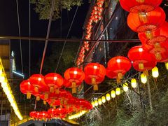 -巴倒烫陆派火锅山庄(南山总店)