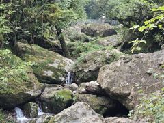 -龙苍沟森林公园