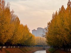 -汉长安城未央宫国家考古遗址公园