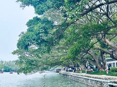 -江心屿景区