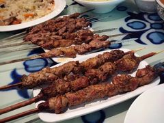 红柳烤串-撒拉花儿·新疆菜·清真(太阳宫店)