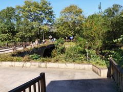 -九曲溪竹筏码头