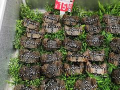 -汇腾天虹(吕厝店)
