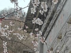 -藏山旅游风景区