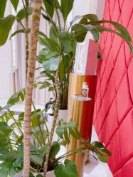 -尊尚柏丽美容SPA