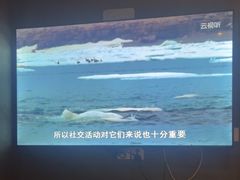 -华夏良子·足道SPA艾灸(龙潭路店)