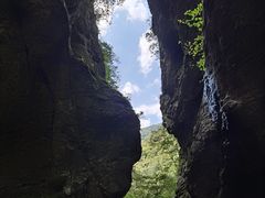 -牛背梁国家森林公园