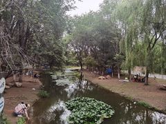 -长白岛森林公园