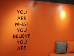 -健身专家Wellness Experts