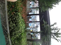 苏州乐园•水上世界-苏州乐园森林水世界