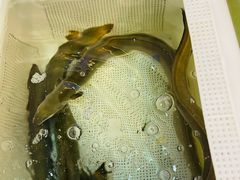 -大天然酒店(军民路店)