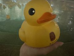 -苏州湾·王焰温泉