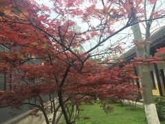 -湖南省立第一师范学校旧址