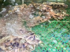 -八方海味餐厅