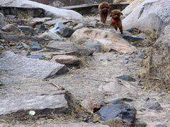 -碓臼峪自然风景区