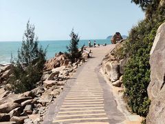 -广东惠东海龟国家级自然保护区