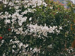 -江宁路街道社区文化活动中心