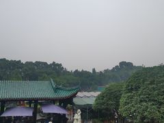 -桂湖森林公园