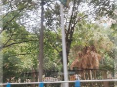 -九九牛肉馆(南山路店)